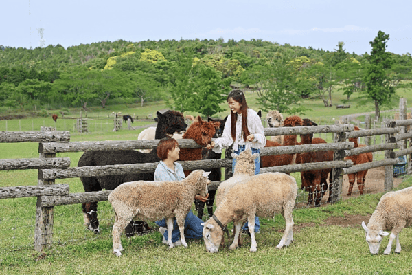 Mother Farm 
